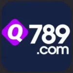q789-game