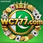 wc777-game