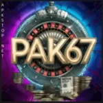 pak67-game