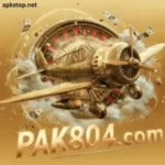 /pak804-game/