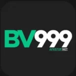 BV999-GAME