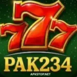 PK234 Game