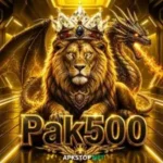pak500-game