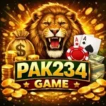 PAK234 Game