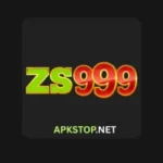 zs999-game