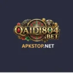 qaidi804-game
